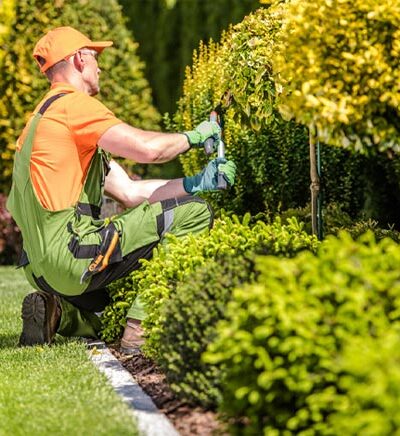 Landscaping